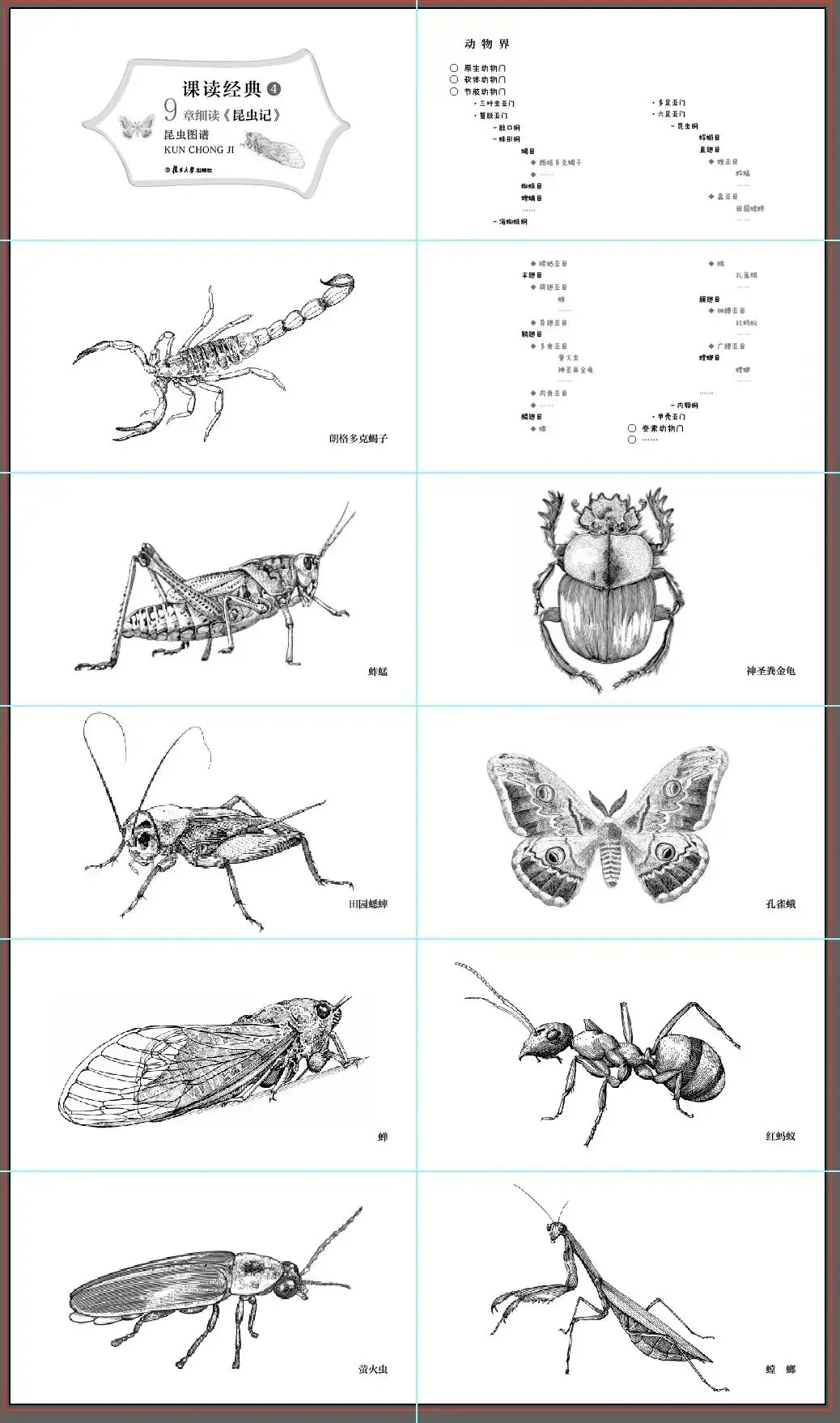昆虫记应该怎么读，昆虫记读法