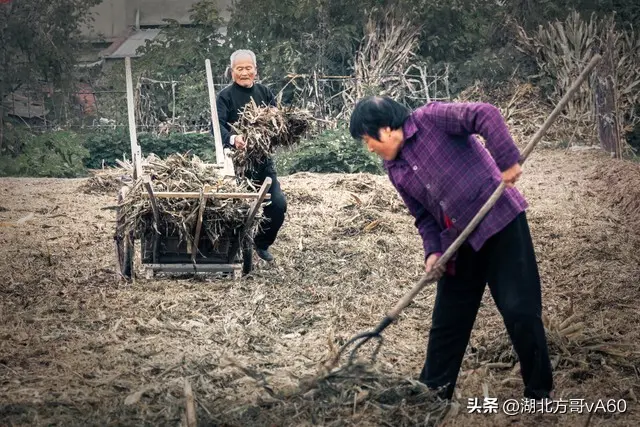 在农村，好多到了六七十岁的老人还每天努力地做农活，为了什么?