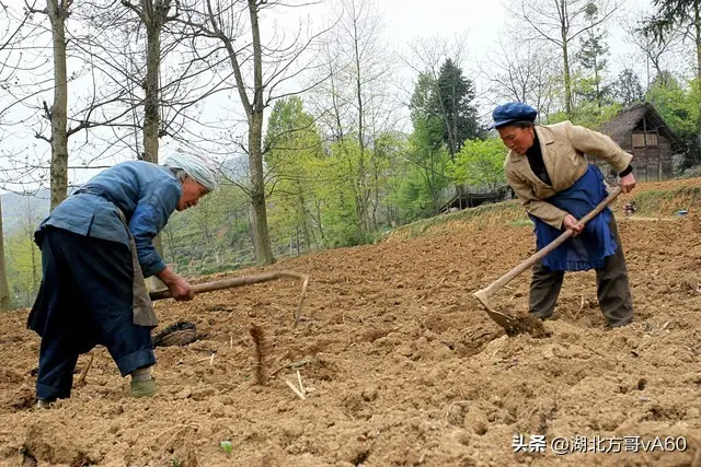 在农村，好多到了六七十岁的老人还每天努力地做农活，为了什么?