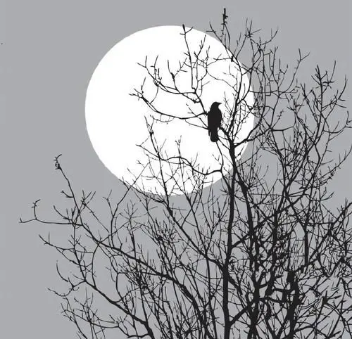 月出惊山鸟，鸟鸣涧中的空是什么意思？