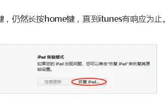 苹果平板电脑使用不了、显示iPad已停用连接iTunes是什么原因