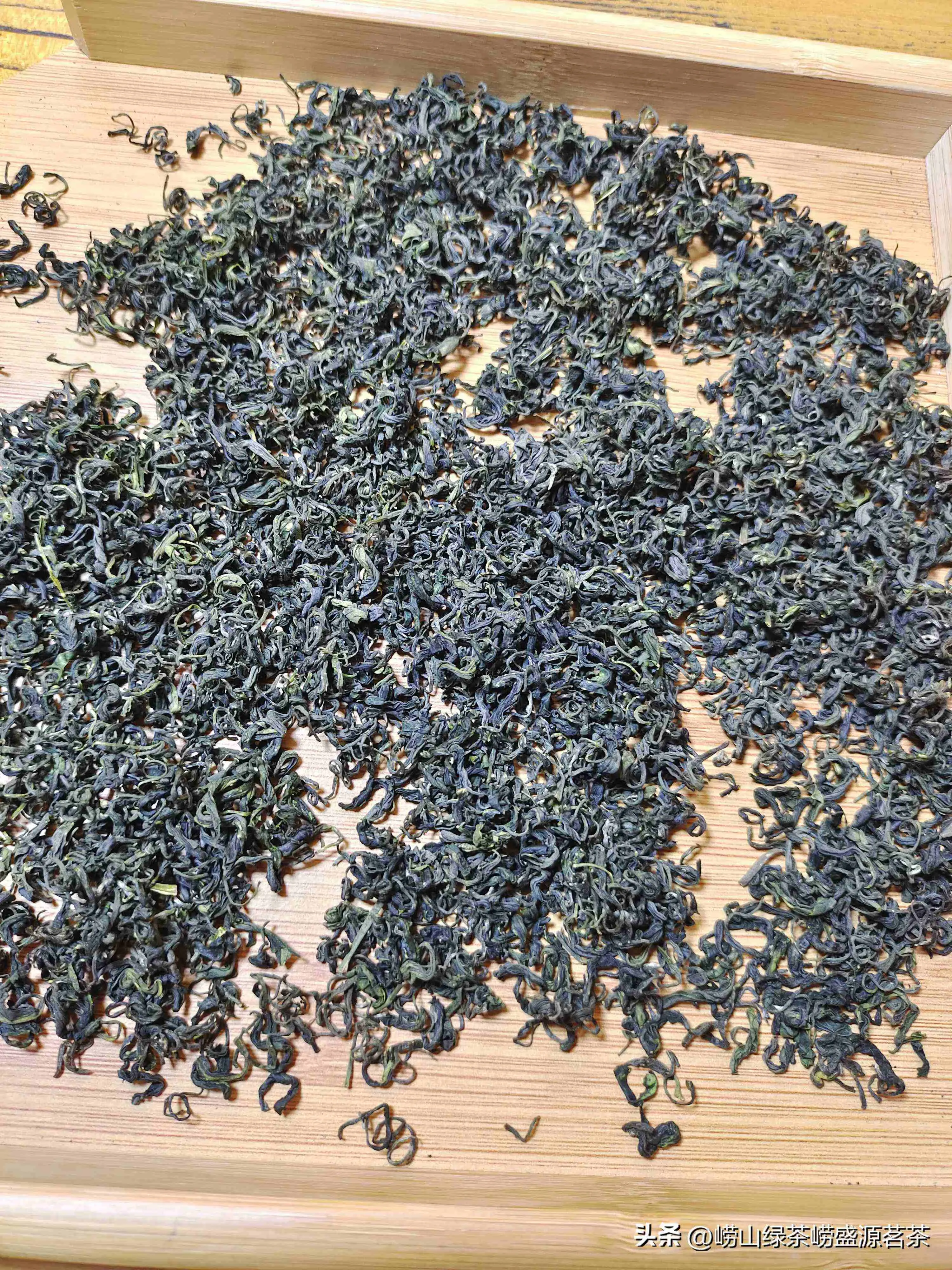 崂山绿茶1000一斤，崂山绿茶多少钱一两